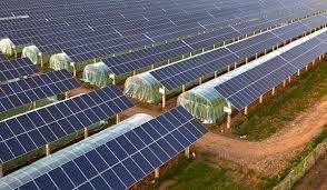 Revolutionizing Agriculture with Dual Land Utilization