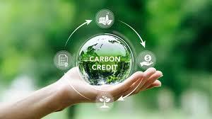 Monetize Your Sustainability Efforts
